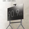 NB P200 電視落地移動架